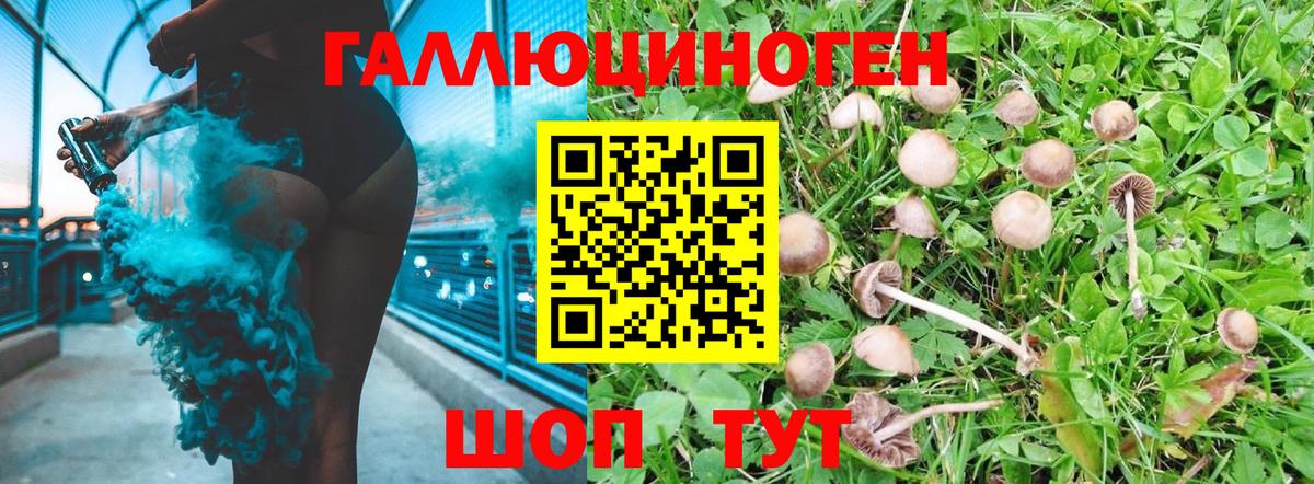Галлюциногенные грибы ЛСД Губкинский
