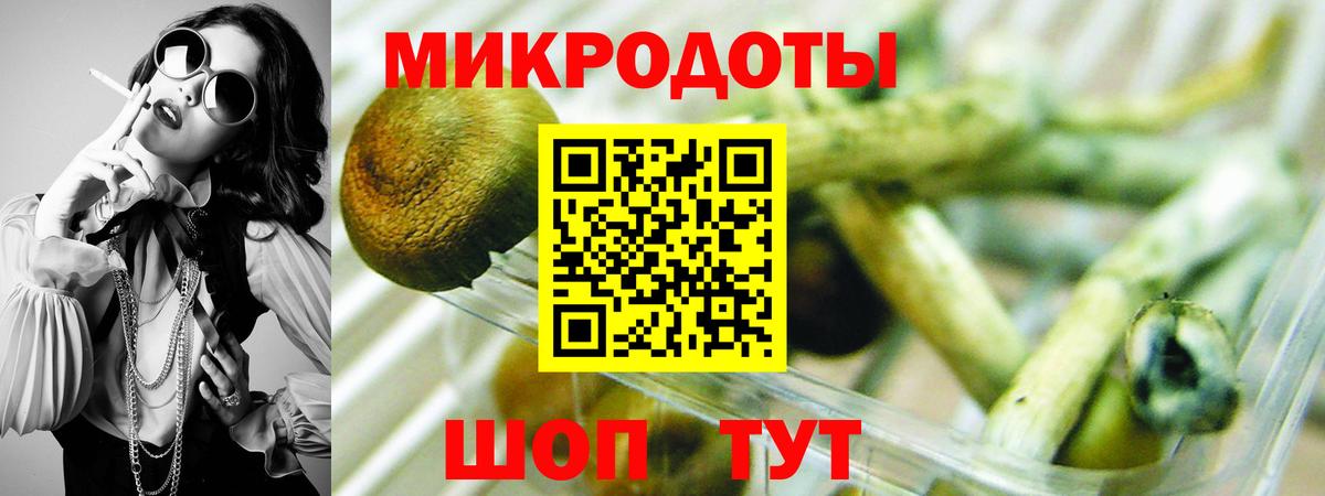 Псилоцибиновые грибы GOLDEN TEACHER  Галлюциногенные грибы ЛСД  Губкинский  Вход с VPN 